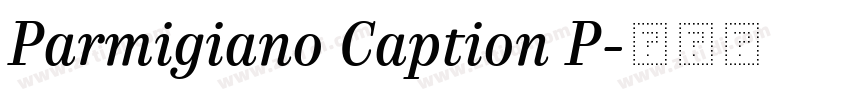 Parmigiano Caption P字体转换